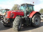 Massey Ferguson 6499 и культиватор Wil-Rich DCIII 19-22